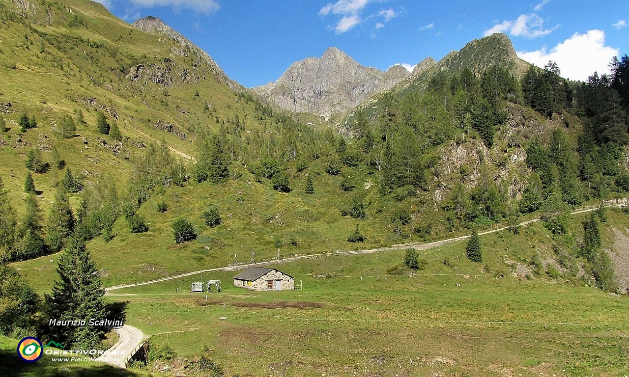 62 Prato del Lago e la sua casera, sullo sfondo il Monte Aga...JPG